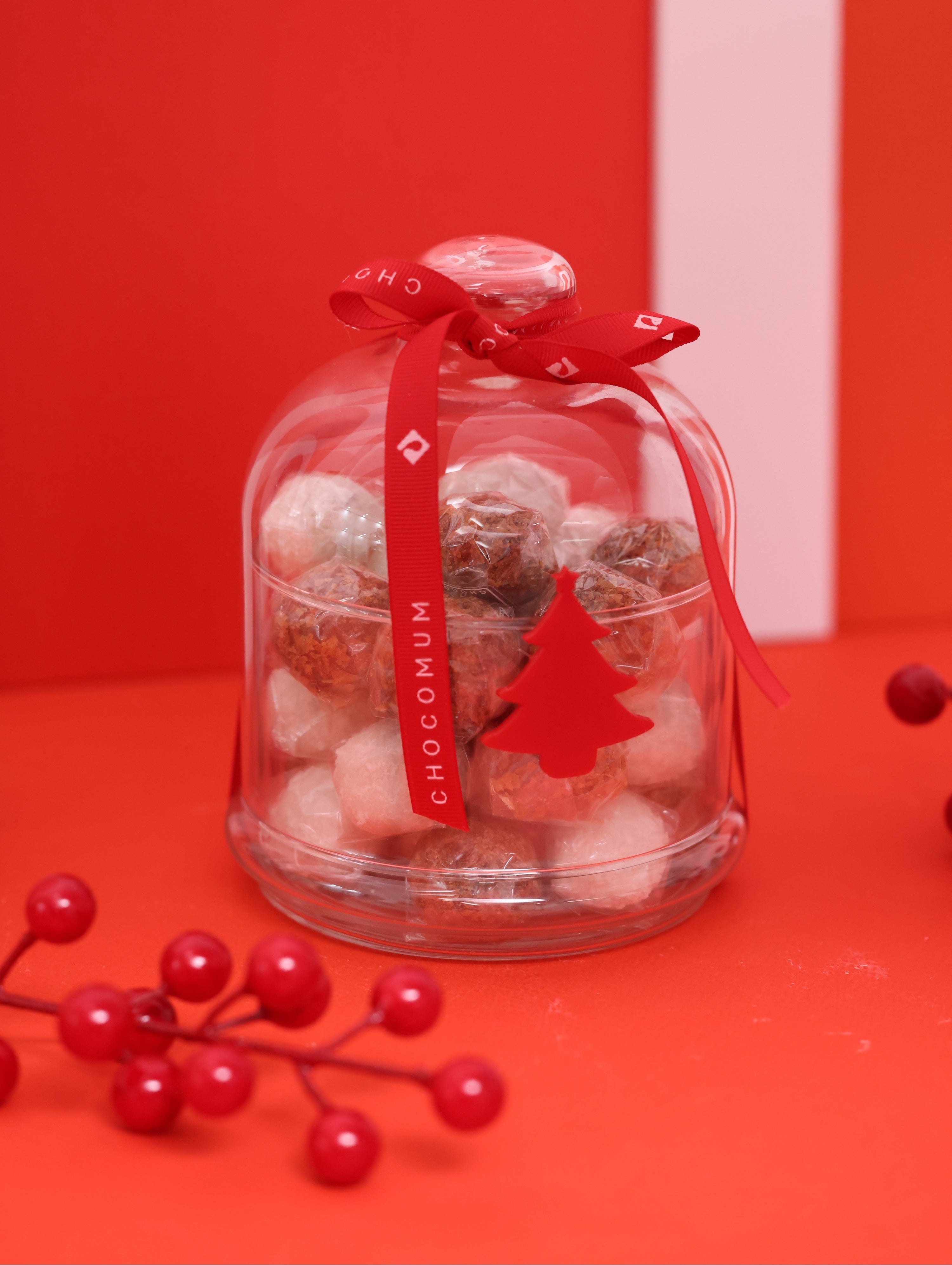 Christmas Glass Dome