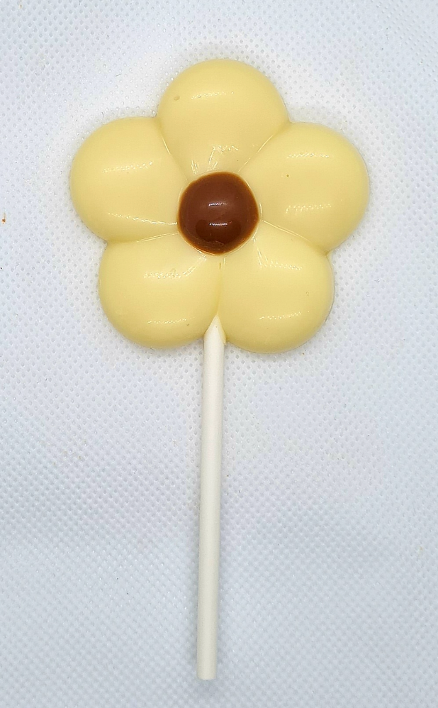 Chocolate Lollipops