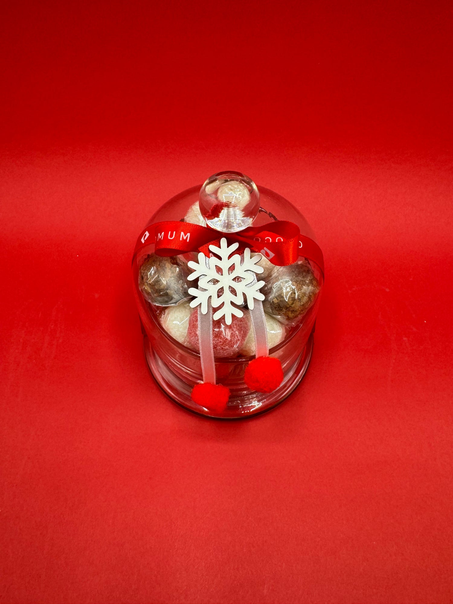 Christmas Glass Dome