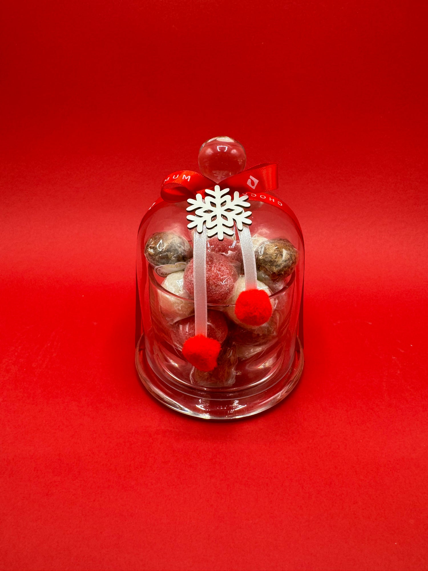 Christmas Glass Dome