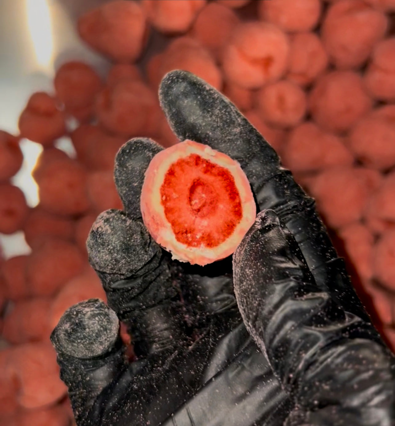 Freeze Dried Strawberry Cheesecake
